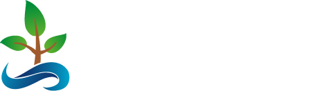 Fundación